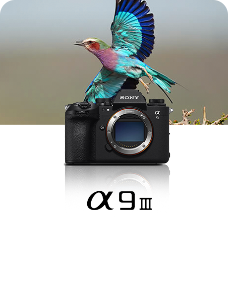 匠心十載，影像傳奇